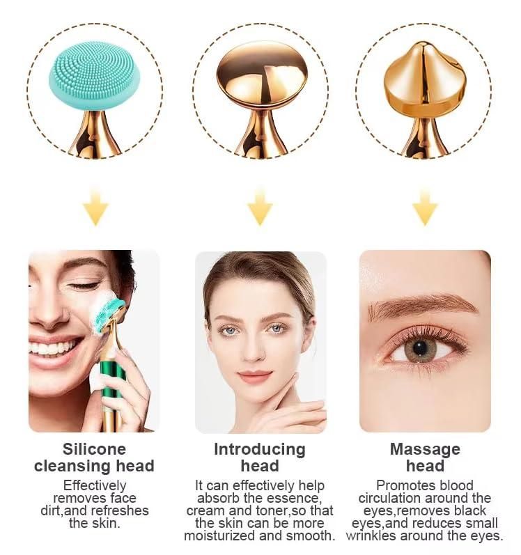 3-in-1 Face Massager