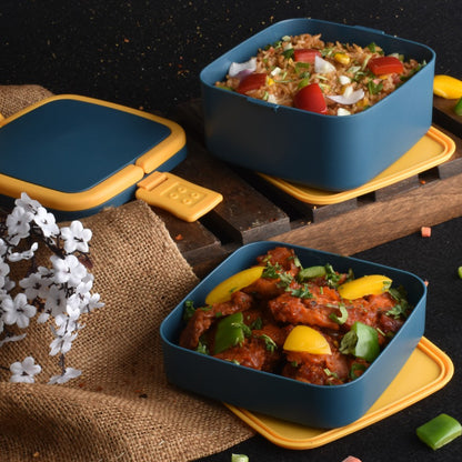 Blue Double-layer Portable Lunch Box
